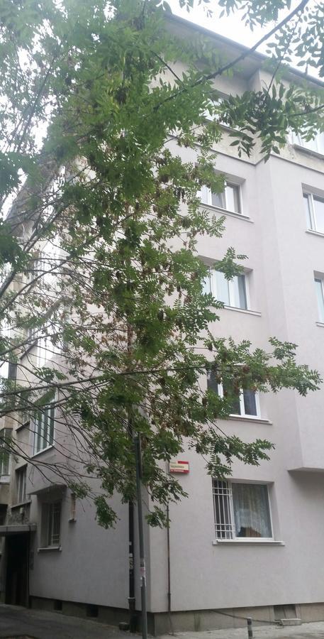 Apartment Downtown Garden Nest *